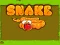 Leikur Snake á netinu