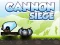 Leikur Cannon Siege á netinu