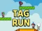Leikur Tag Run á netinu