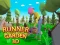 Leikur Runner Garden 3d á netinu