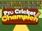 Leikur Pro Cricket Champion á netinu