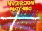 Leikur Mushroom matching á netinu