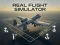 Leikur Real Flight Simulator á netinu