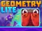 Leikur Geometry Lite á netinu
