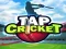 Leikur Tap Cricket á netinu