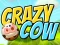 Leikur Crazy Cow á netinu