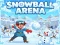 Leikur SnowBall Arena á netinu