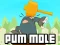 Leikur Pum-Mole á netinu