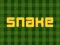 Leikur Snake á netinu