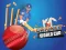 Leikur Cricket World Cup Game á netinu