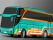 Leikur Villager Bus Simulator á netinu