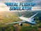 Leikur Real Flight Simulator á netinu