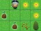 Leikur Magic Seeds á netinu