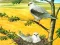 Leikur Birds Of Prey Puzzle á netinu