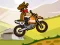 Leikur Hill Climb Moto á netinu