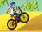 Leikur BMX Boy Online á netinu