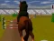 Leikur Jumping Horse 3d á netinu