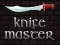 Leikur Knife Master á netinu