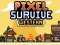 Leikur Pixel Survive Western á netinu
