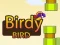 Leikur Birdy Bird á netinu