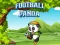 Leikur Football Panda á netinu