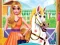 Leikur Princess Pet Treatment á netinu