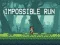 Leikur Impossible Run á netinu