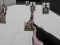 Leikur Shooting Range Simulator á netinu