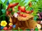 Leikur Hidden Objects Insects á netinu