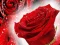 Leikur Red Roses á netinu