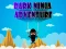 Leikur Dark Ninja Adventure á netinu