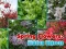 Leikur Spring Flowers: Hidden Objects á netinu