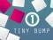 Leikur Tiny Bump á netinu