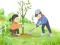 Leikur Arbor Day Puzzle á netinu