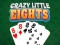 Leikur Crazy Little Eights á netinu