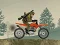 Leikur Army Rider á netinu