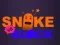 Leikur Snake vs Blocks á netinu