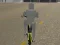 Leikur Bicycle Simulator á netinu