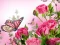 Leikur Butterflies Puzzle á netinu