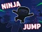 Leikur Ninja jump á netinu