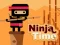 Leikur Ninja Time á netinu