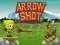 Leikur Arrow Shoot á netinu