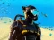 Leikur Underwater Survival Deep Dive á netinu