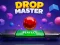 Leikur Drop Master á netinu