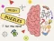 Leikur Brain Puzzles Quests á netinu