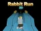 Leikur Rabbit Run 3D á netinu
