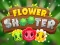Leikur Flower Shooter á netinu