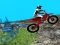 Leikur Forest Bike Trials 2019 á netinu