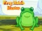 Leikur Frog Match Master á netinu
