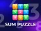 Leikur Sum Puzzle: Arithmetic á netinu